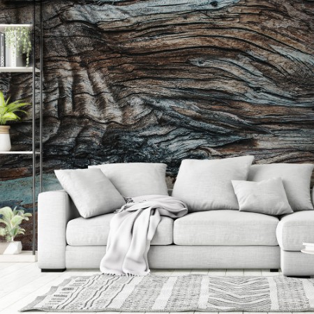 Picture of Eucalyptus Texture