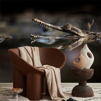 Picture of Exotic Reflection of Sinyulong