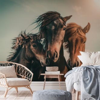 Image de Family portrait