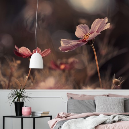 Image de Flowers of innocence