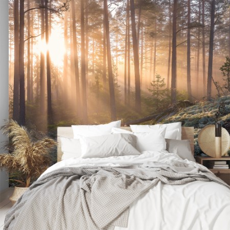 Picture of Morgenmose