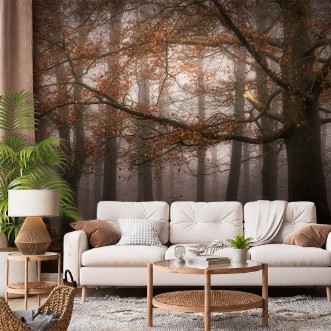 Picture of Foggy memory of the past