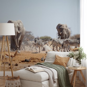 Picture of Give Way to the Heavyweights