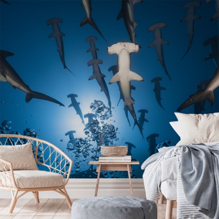 Picture of Hammerhai