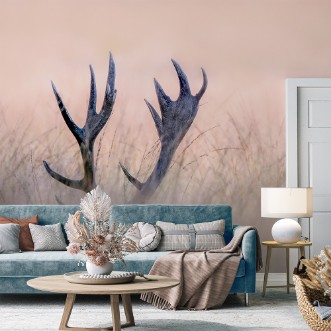 Image de Hide & seek (horn of stag)