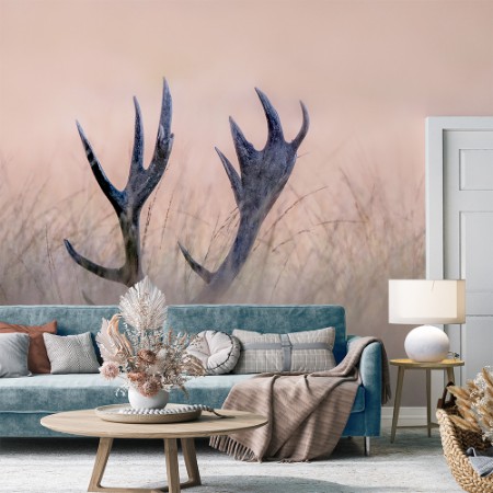 Image de Hide & seek (horn of stag)