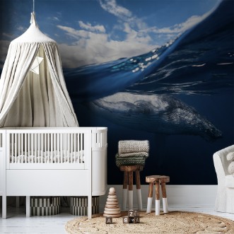 Afbeeldingen van Humpback whale and the sky