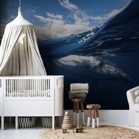 Image de Humpback whale and the sky