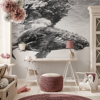 Picture of Humpback whale calf