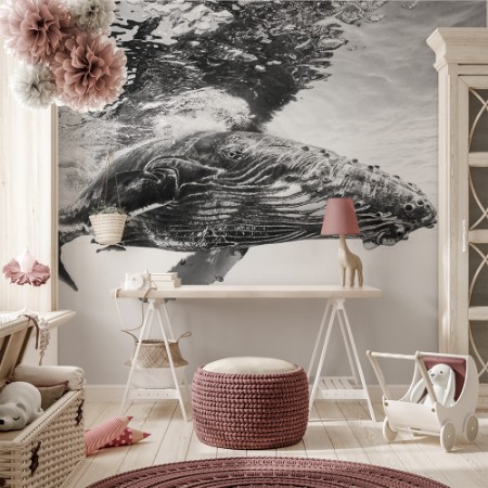 Picture of Humpback whale calf