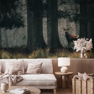 Afbeeldingen van King of the forest