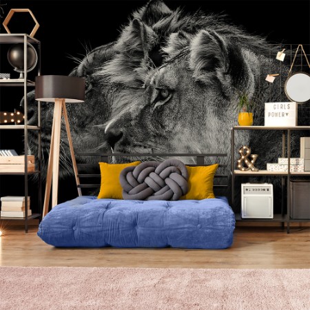 Afbeeldingen van Lejon och lejoninna porträtt