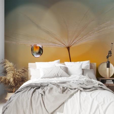 Picture of Little Night Music...