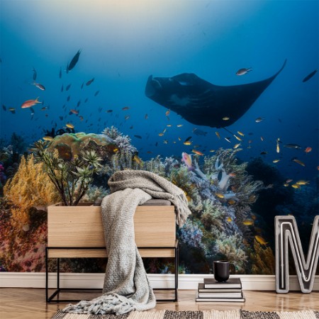 Afbeeldingen van Reef Manta ray