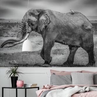 Image de Mighty Tim and friend