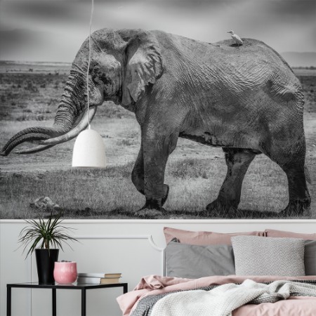 Image de Mighty Tim and friend