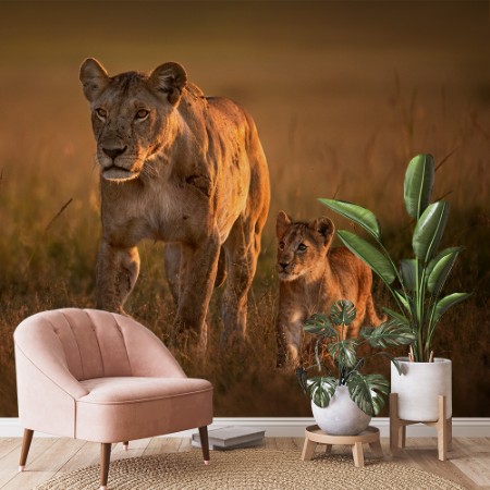 Picture of Mom lioness with cub