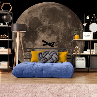 Picture of Passing Through Full Moon