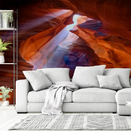 Picture of Pure Photodelight 2