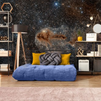 Picture of Rotten Fish Nebula