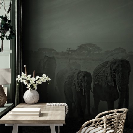 Image de Sequence of Emotion