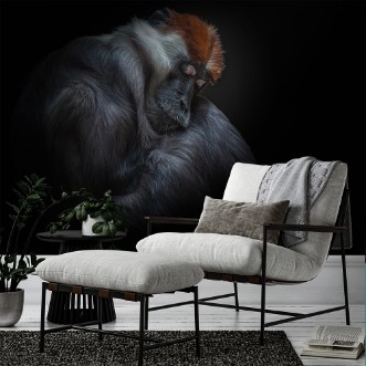 Afbeeldingen van Sleeping beauty