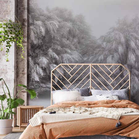 Afbeeldingen van Snow-covered trees