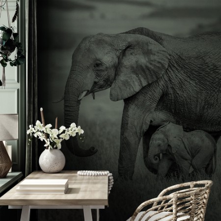 Image de Staying close and protected