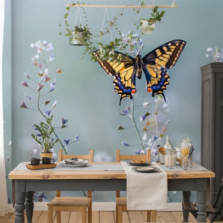 Kép Swallowtail beauty