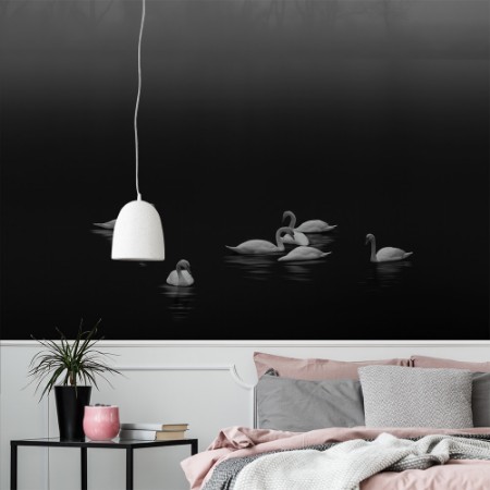 Picture of Swan lake foggy morning