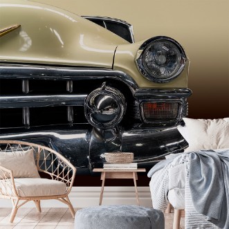 Picture of The Beige Cadillac