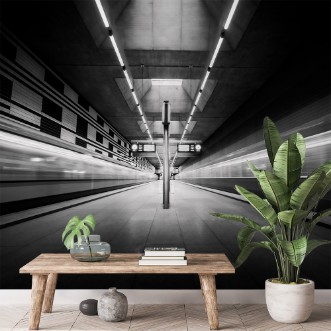 Picture of The fast and the furious