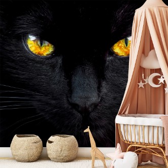 Image de The hypnotist of the night