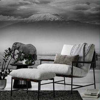 Image de The land of giants