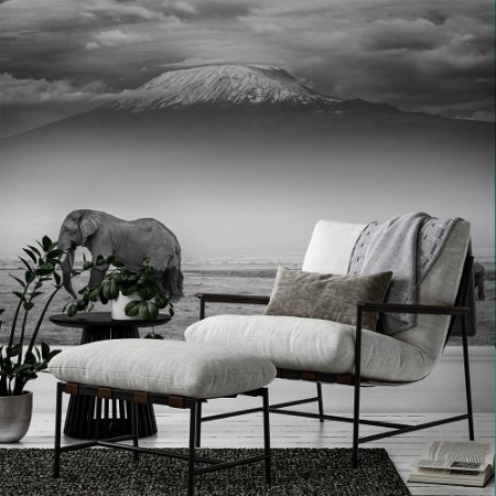 Image de The land of giants