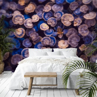 Bild på The Little Umbrellas