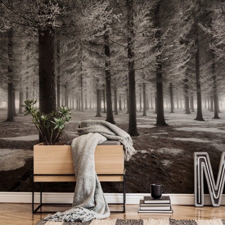 Picture of The onset of winter