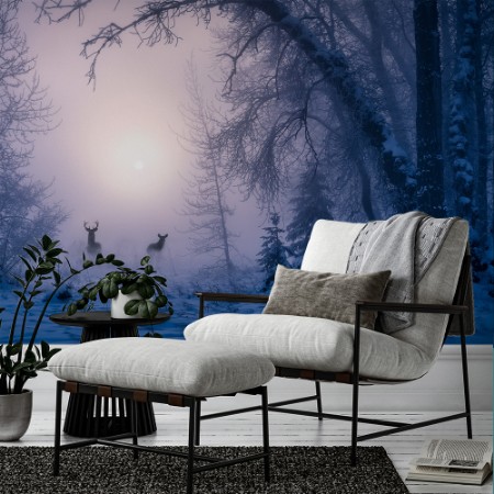 Afbeeldingen van The shadow of deer in the morning fog