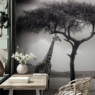 Picture of Under the African sun