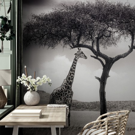 Picture of Under the African sun