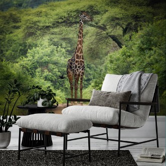 Picture of Unexpected meeting