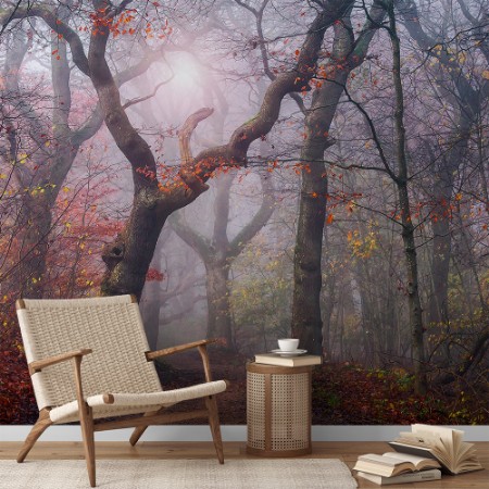 Picture of Walking the old path.