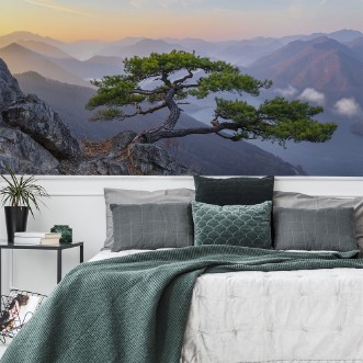 Afbeeldingen van When the Day Breaks