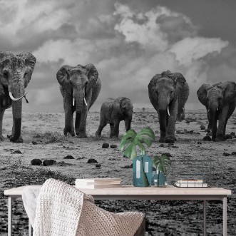 Picture of Big family