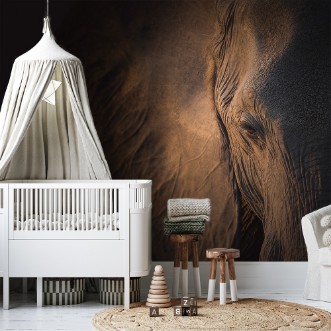 Picture of Gentle Giant