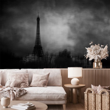 Dreaming of Paris paveikslėlis