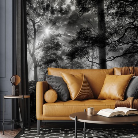 Picture of Primary forest