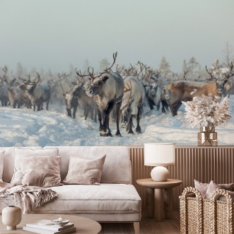 Picture of Reindeers