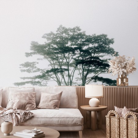 Picture of Timor-Leste