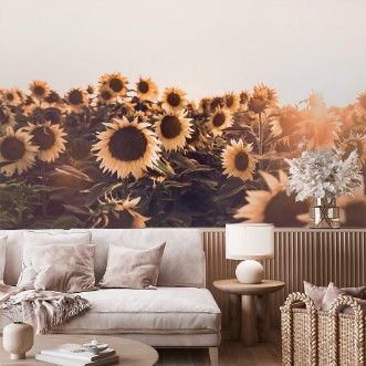 Image de Sunflowers